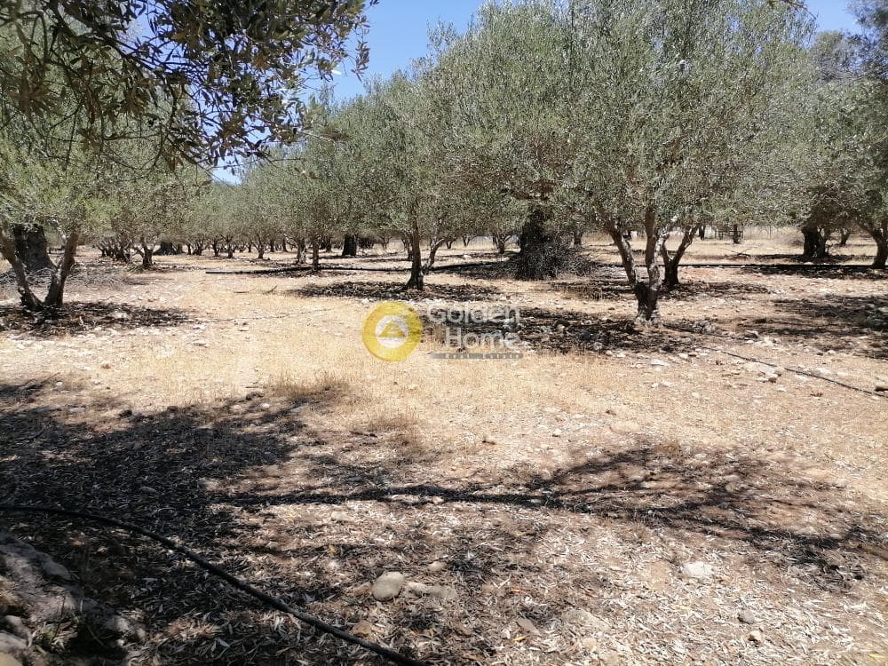 Οικόπεδο στην Μονόχωρο, Μοίρες — Φωτογραφία 17 από 20