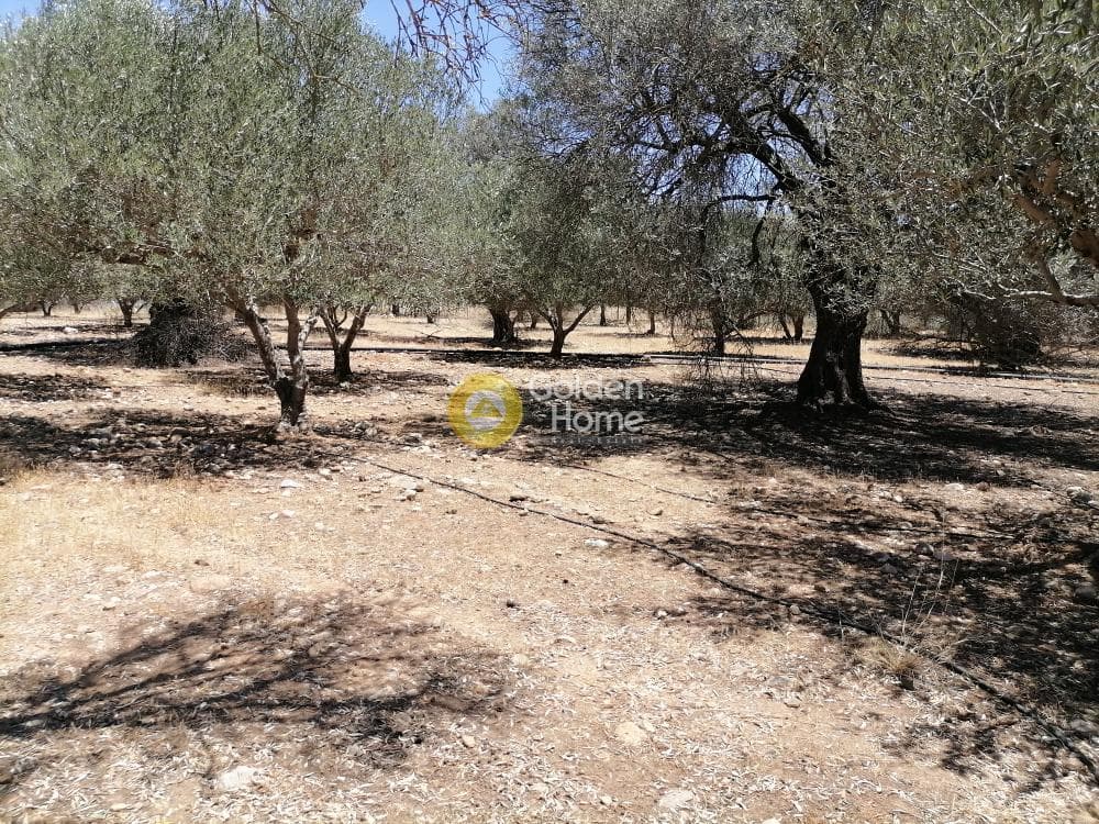 Οικόπεδο στην Μονόχωρο, Μοίρες — Φωτογραφία 18 από 20