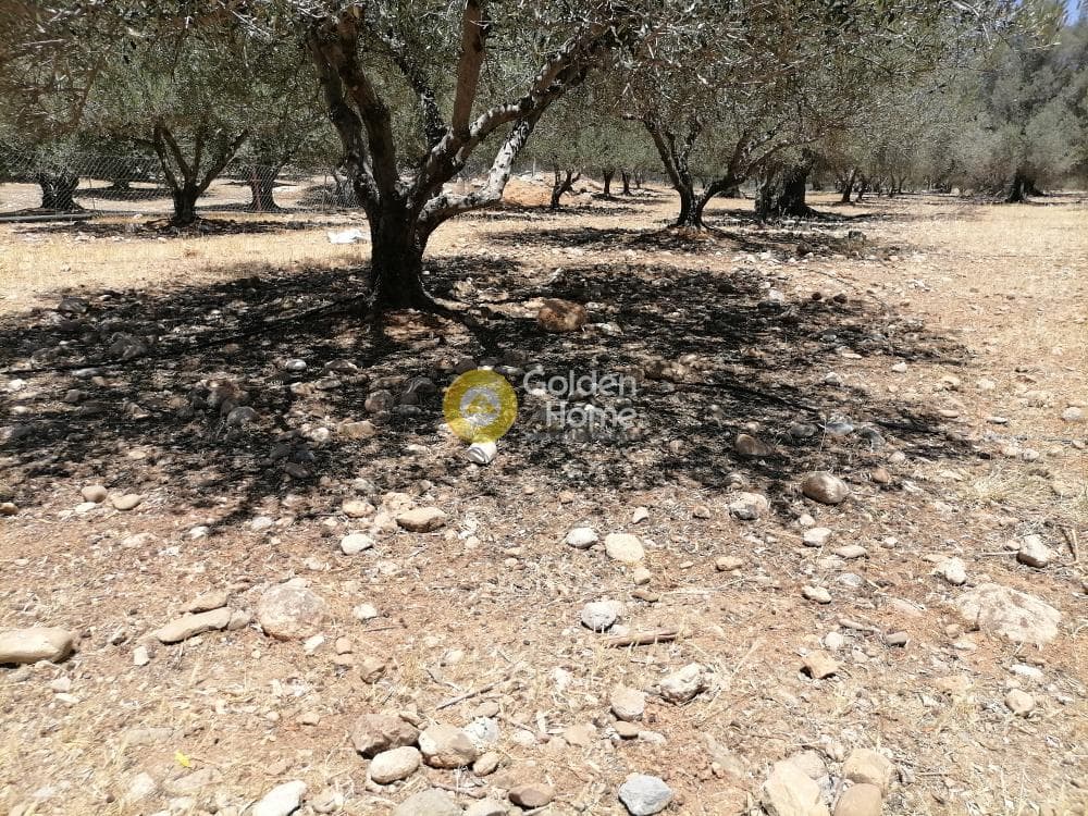 Οικόπεδο στην Μονόχωρο, Μοίρες — Φωτογραφία 20 από 20