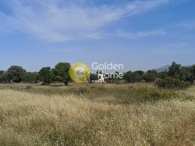 Parcel in Neapoli, Spata — Photo 1 of 5