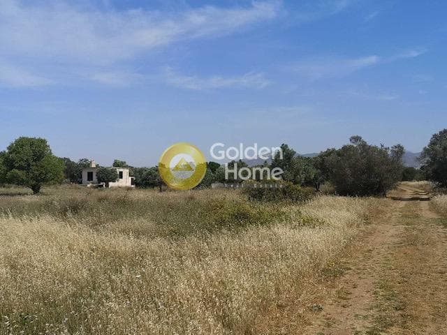Parcel in Neapoli, Spata — Photo 2 of 5