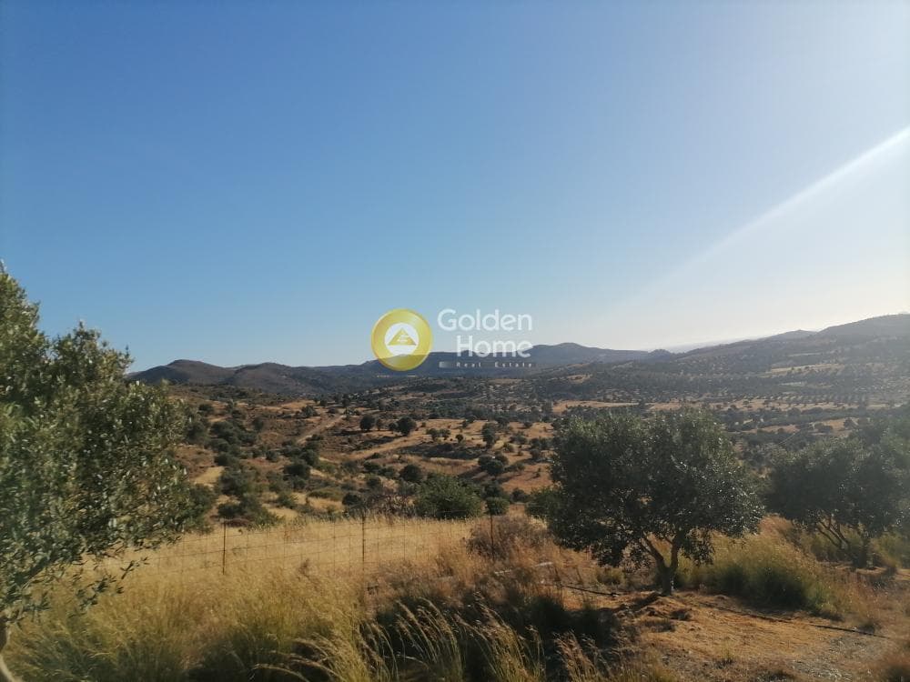 Building Plot in Kouses, Moires — Photo 3 of 16