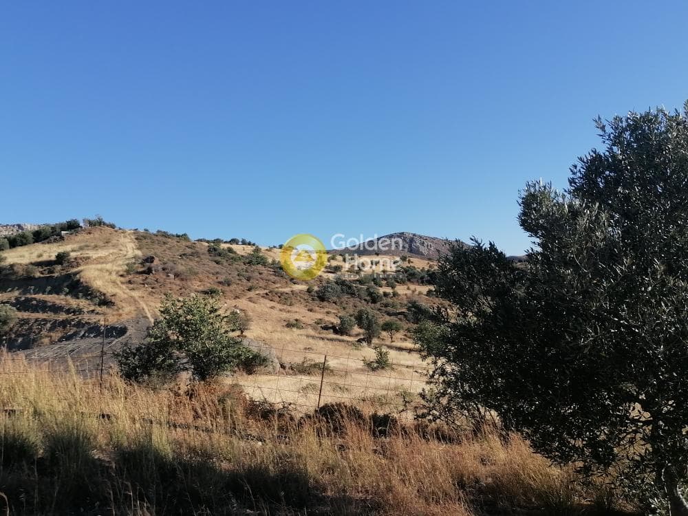 Building Plot in Kouses, Moires — Photo 4 of 16
