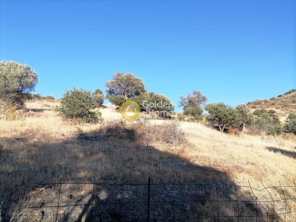 Building Plot in Kouses, Moires — Photo 16 of 16