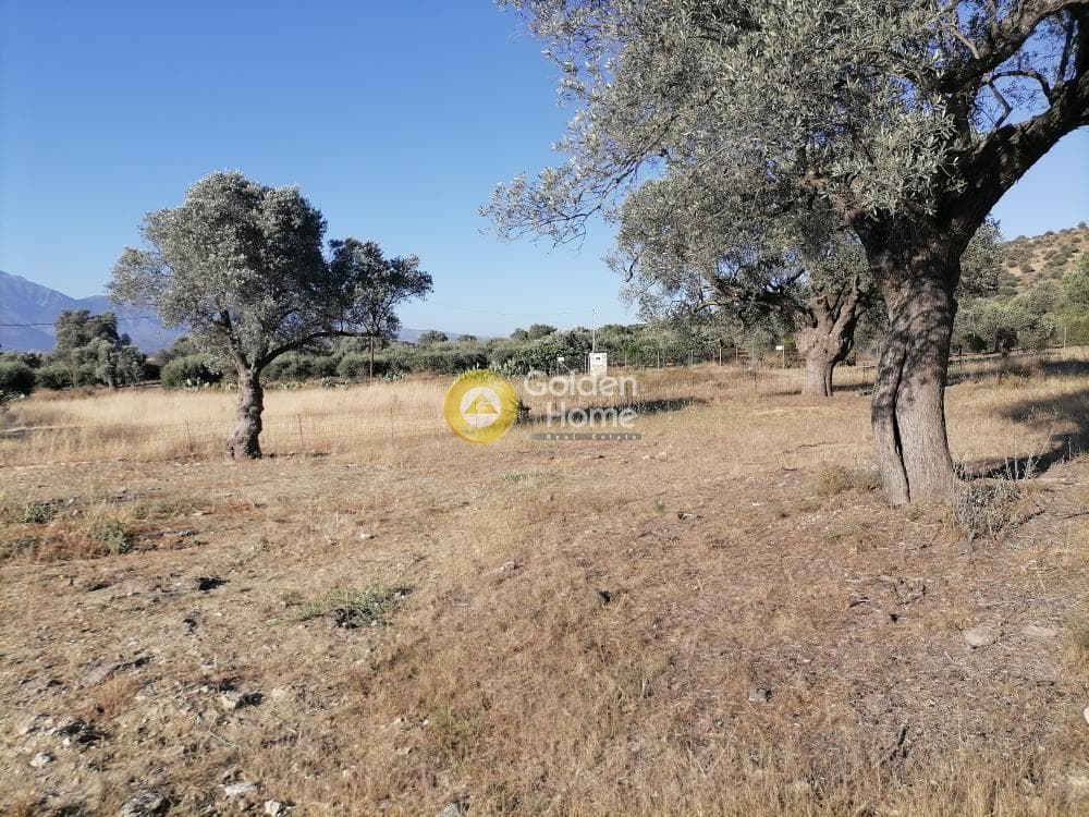 Building Plot in Listaros, Moires — Photo 13 of 17