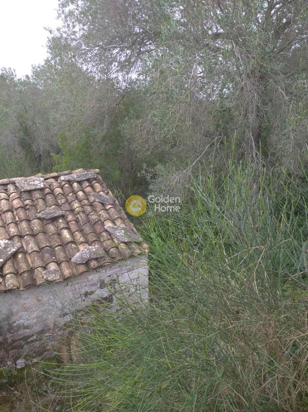 Αγροτεμάχιο στην Αντιπαξοι, Παξοί — Φωτογραφία 6 από 6