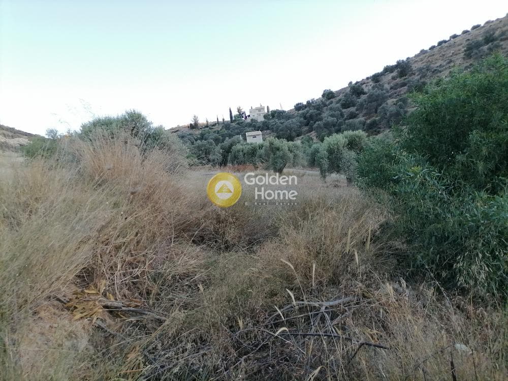 Οικόπεδο στην Καμηλάρι, Τυμπάκι — Φωτογραφία 4 από 16