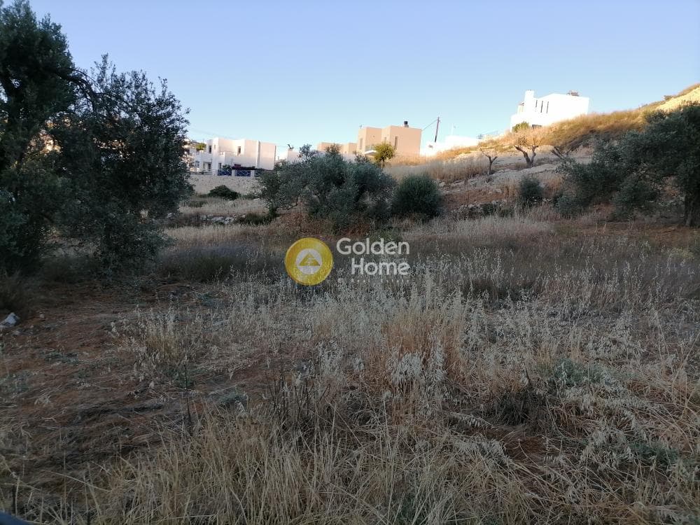 Οικόπεδο στην Καμηλάρι, Τυμπάκι — Φωτογραφία 12 από 16