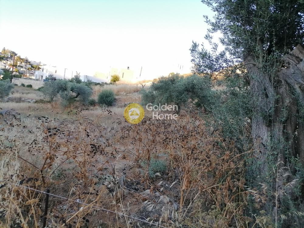 Οικόπεδο στην Καμηλάρι, Τυμπάκι — Φωτογραφία 16 από 16