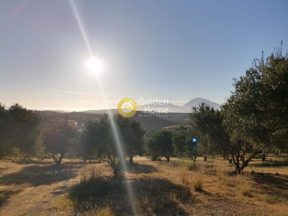 Building Plot in Kouses, Moires — Photo 3 of 17