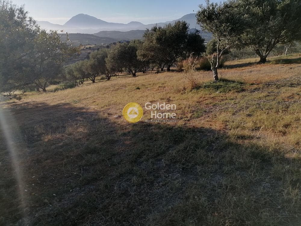 Building Plot in Kouses, Moires — Photo 8 of 17