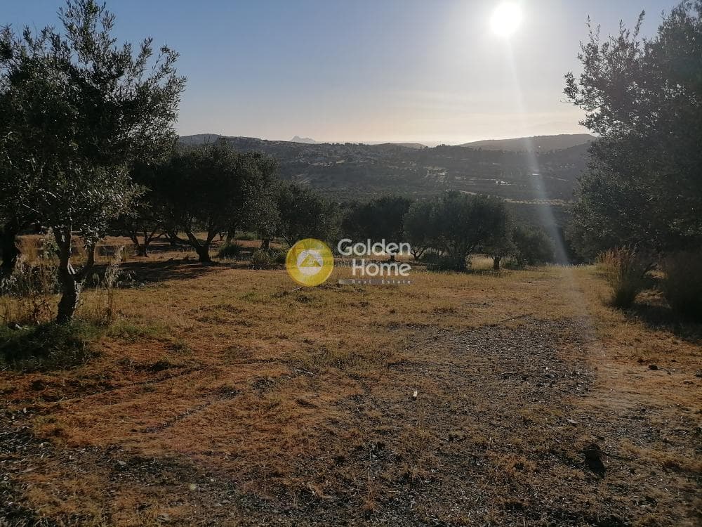 Building Plot in Kouses, Moires — Photo 10 of 17
