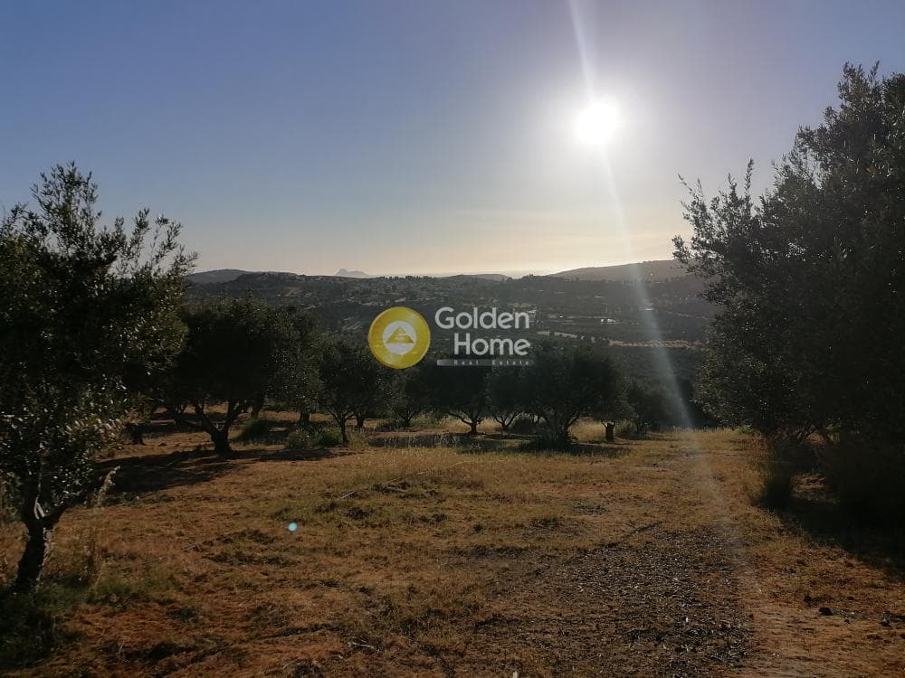Building Plot in Kouses, Moires — Photo 12 of 17
