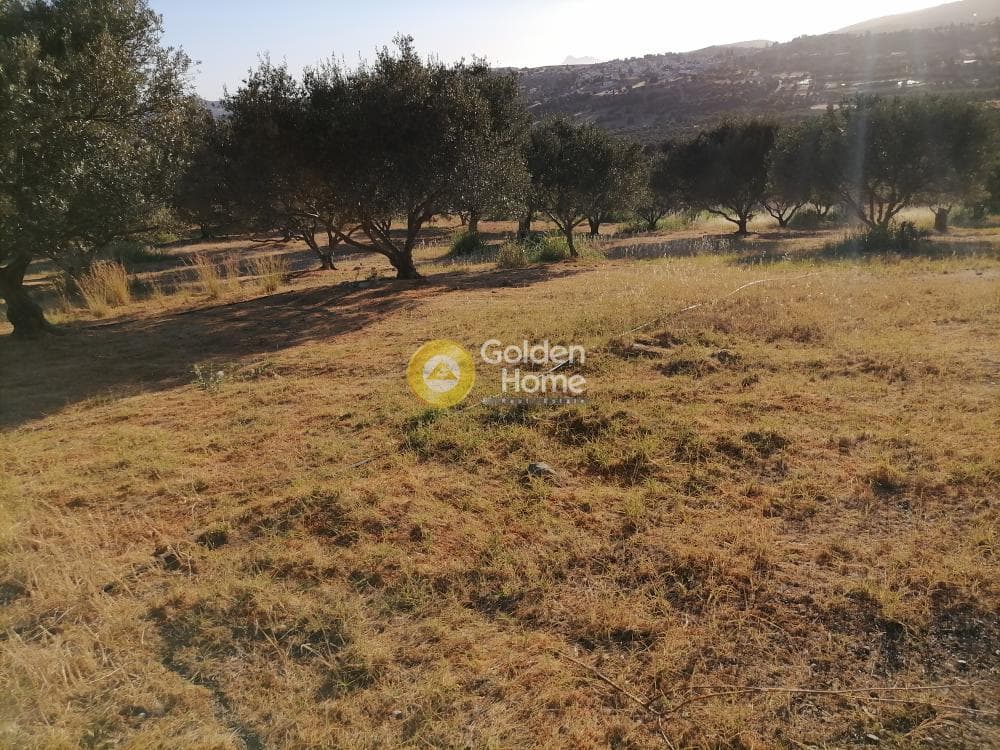 Building Plot in Kouses, Moires — Photo 14 of 17