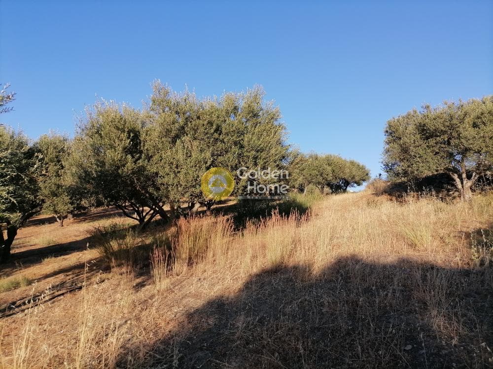 Building Plot in Kouses, Moires — Photo 16 of 17
