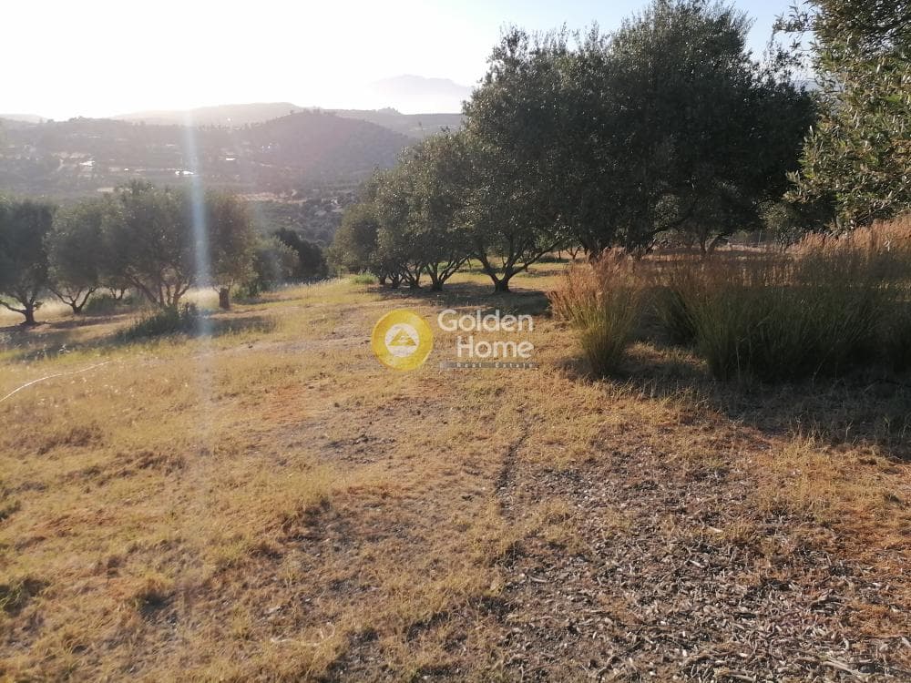 Building Plot in Kouses, Moires — Photo 6 of 20