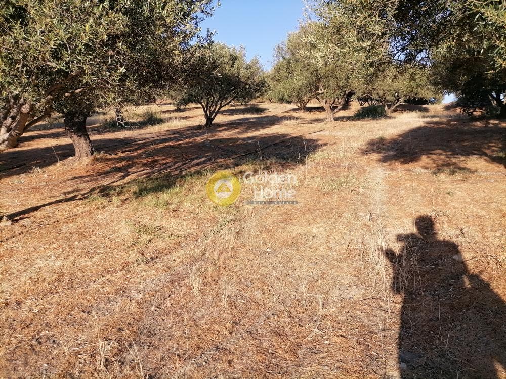 Building Plot in Kouses, Moires — Photo 7 of 20