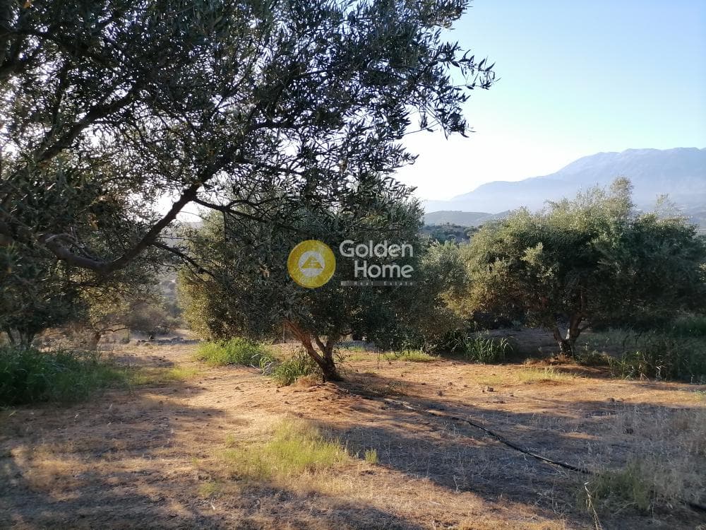 Building Plot in Kouses, Moires — Photo 10 of 20