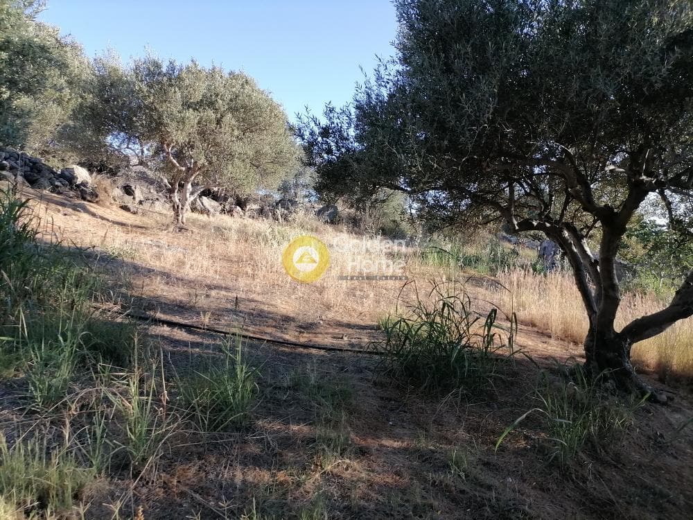 Building Plot in Kouses, Moires — Photo 11 of 20