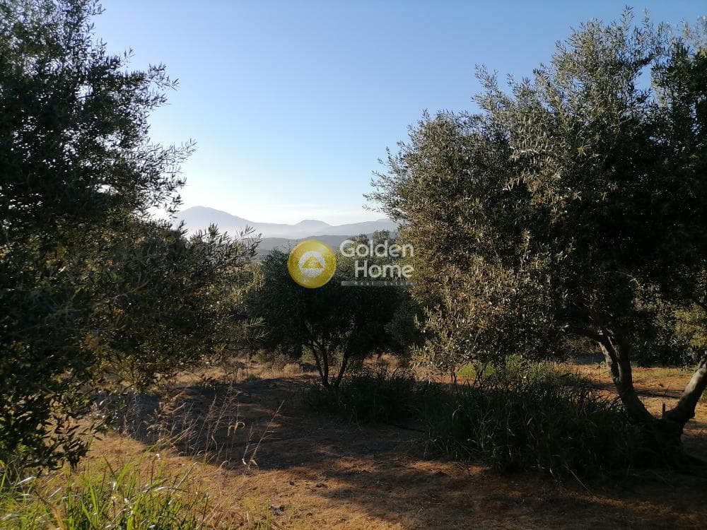 Building Plot in Kouses, Moires — Photo 12 of 20