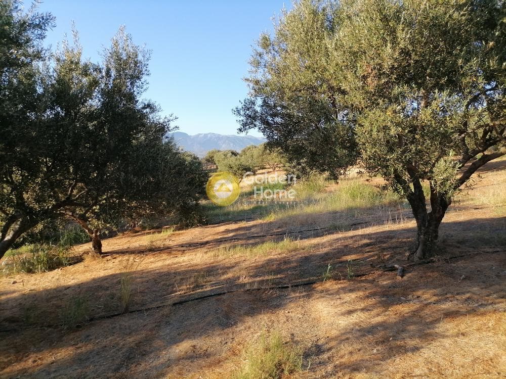 Building Plot in Kouses, Moires — Photo 13 of 20