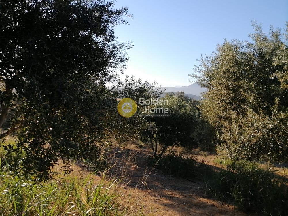 Building Plot in Kouses, Moires — Photo 14 of 20