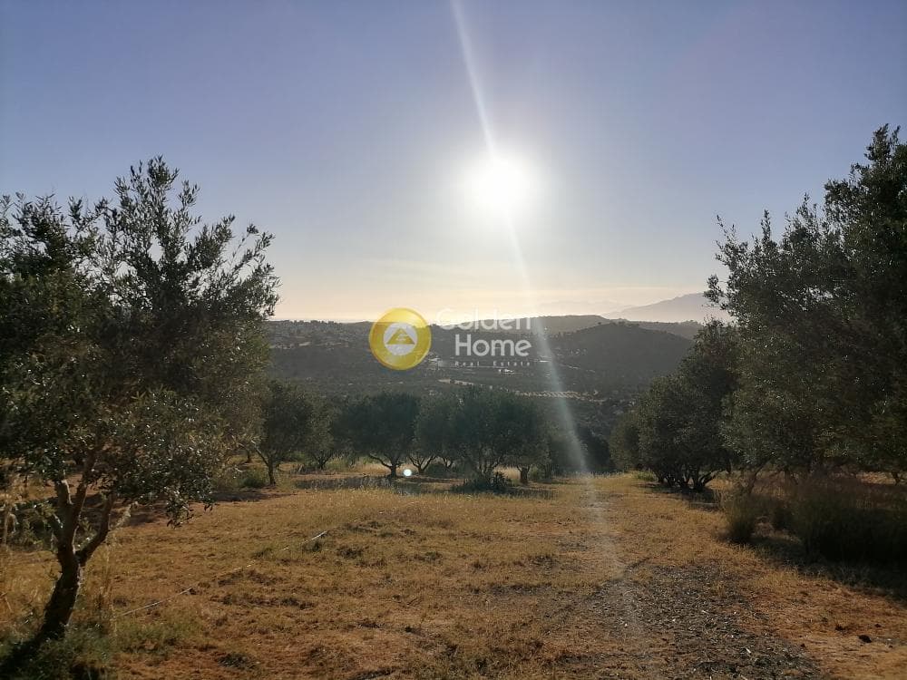 Building Plot in Kouses, Moires — Photo 4 of 20