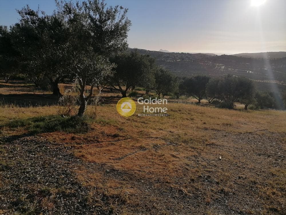 Building Plot in Kouses, Moires — Photo 17 of 20