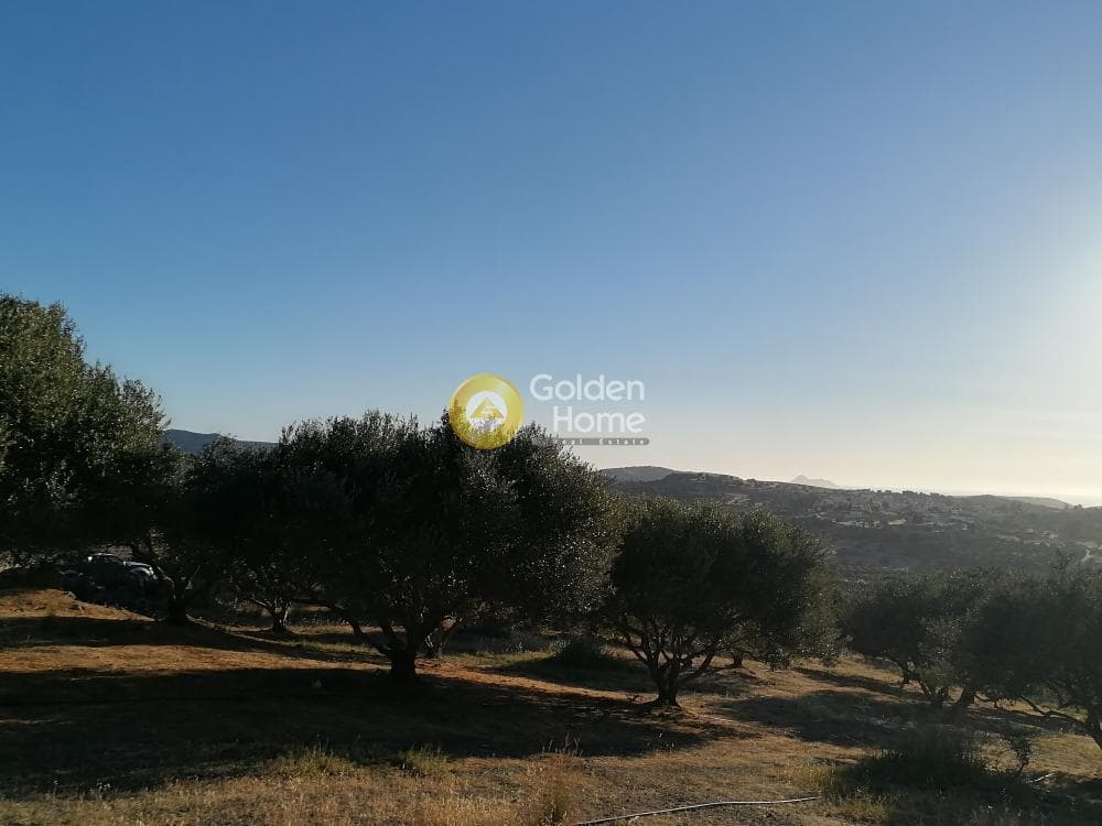 Building Plot in Kouses, Moires — Photo 18 of 20