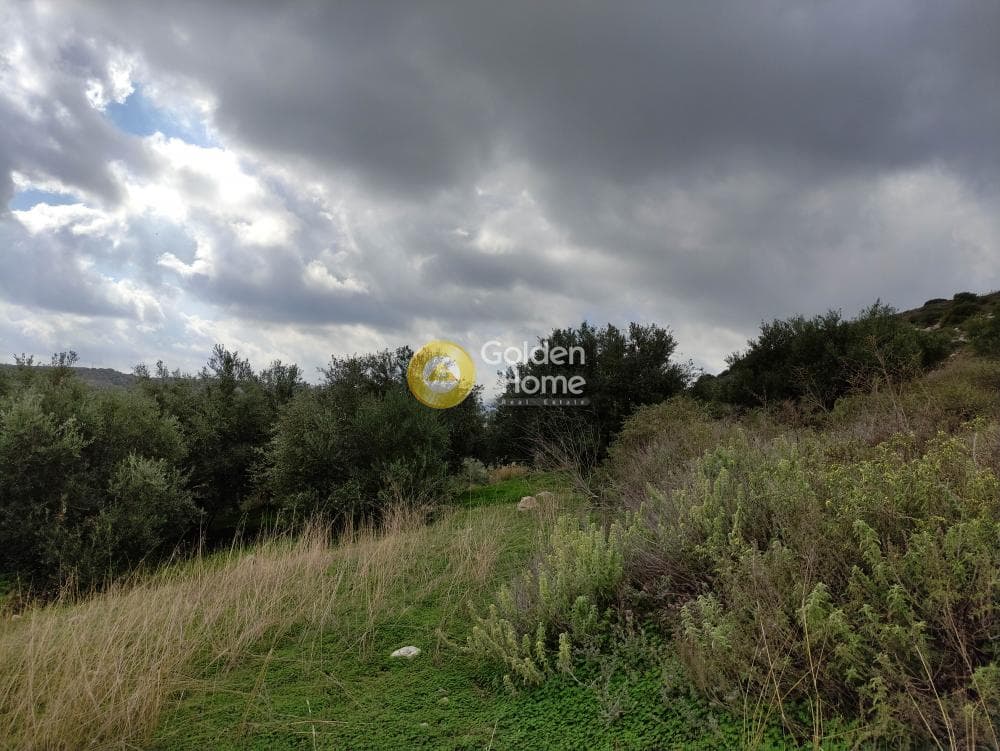 Building Plot in Kato Archanes, Archanes — Photo 3 of 4