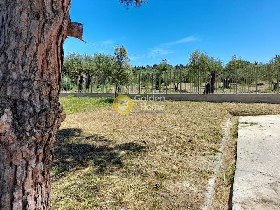 Μονοκατοικία στην Μπουλαμάτσια, Κασσάνδρα — Φωτογραφία 48 από 53