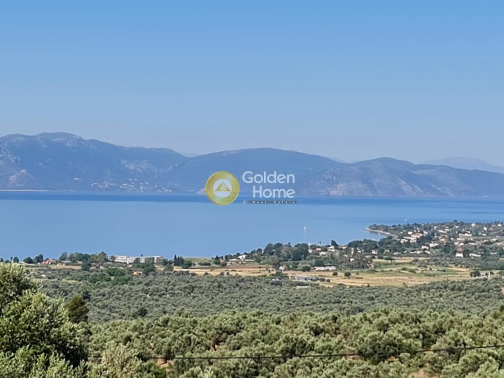 Μονοκατοικία στην Καλοχώρι-Παντείχι, Τανάγρα — Φωτογραφία 17 από 22