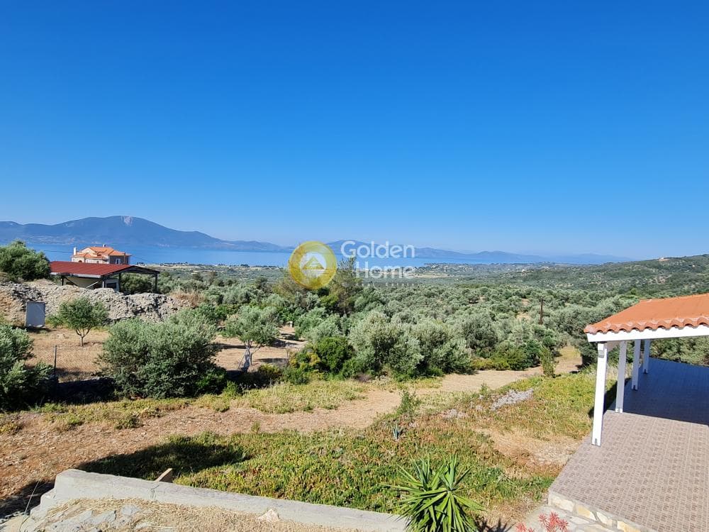 Μονοκατοικία στην Καλοχώρι-Παντείχι, Τανάγρα — Φωτογραφία 19 από 22