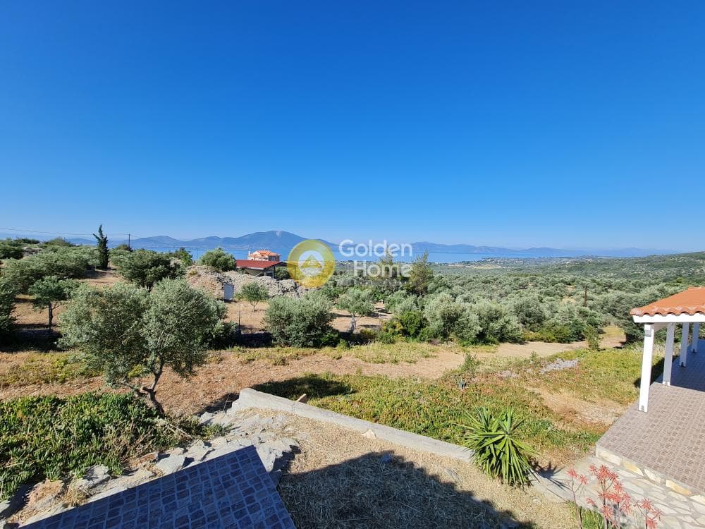 Μονοκατοικία στην Καλοχώρι-Παντείχι, Τανάγρα — Φωτογραφία 20 από 22