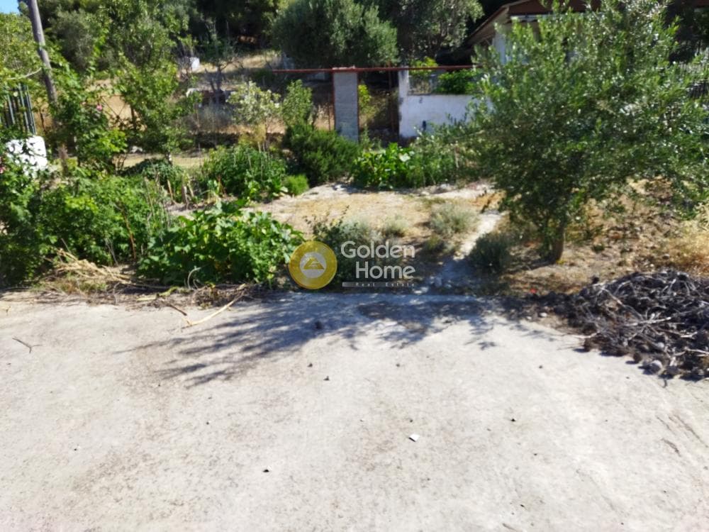Αγροτεμάχιο στην Κακή Βίγλα, Σαλαμίνα — Φωτογραφία 2 από 7