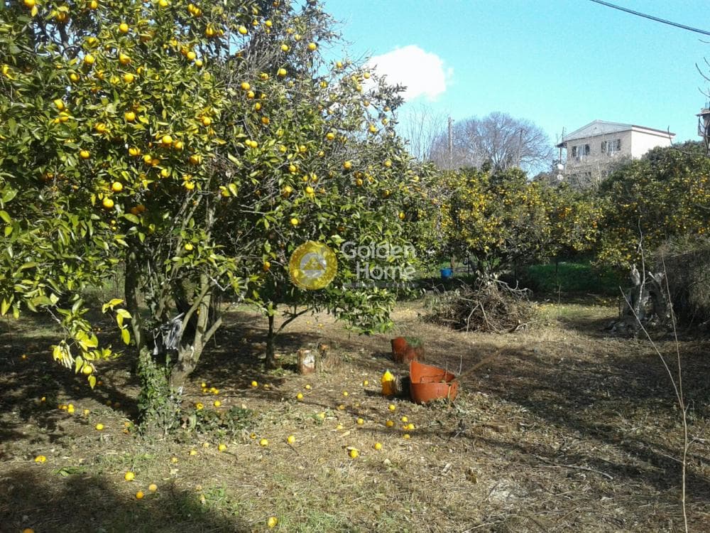 Parcel in Achilleio, Corfu — Photo 2 of 8