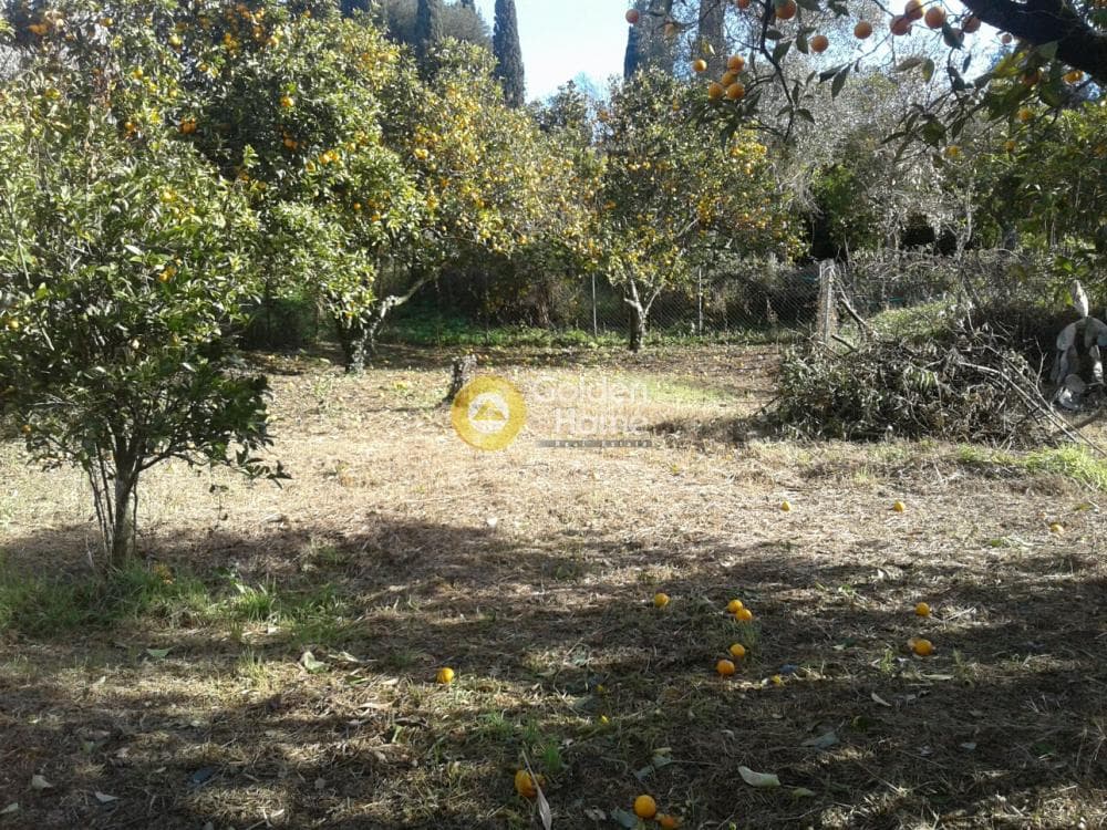 Parcel in Achilleio, Corfu — Photo 3 of 8