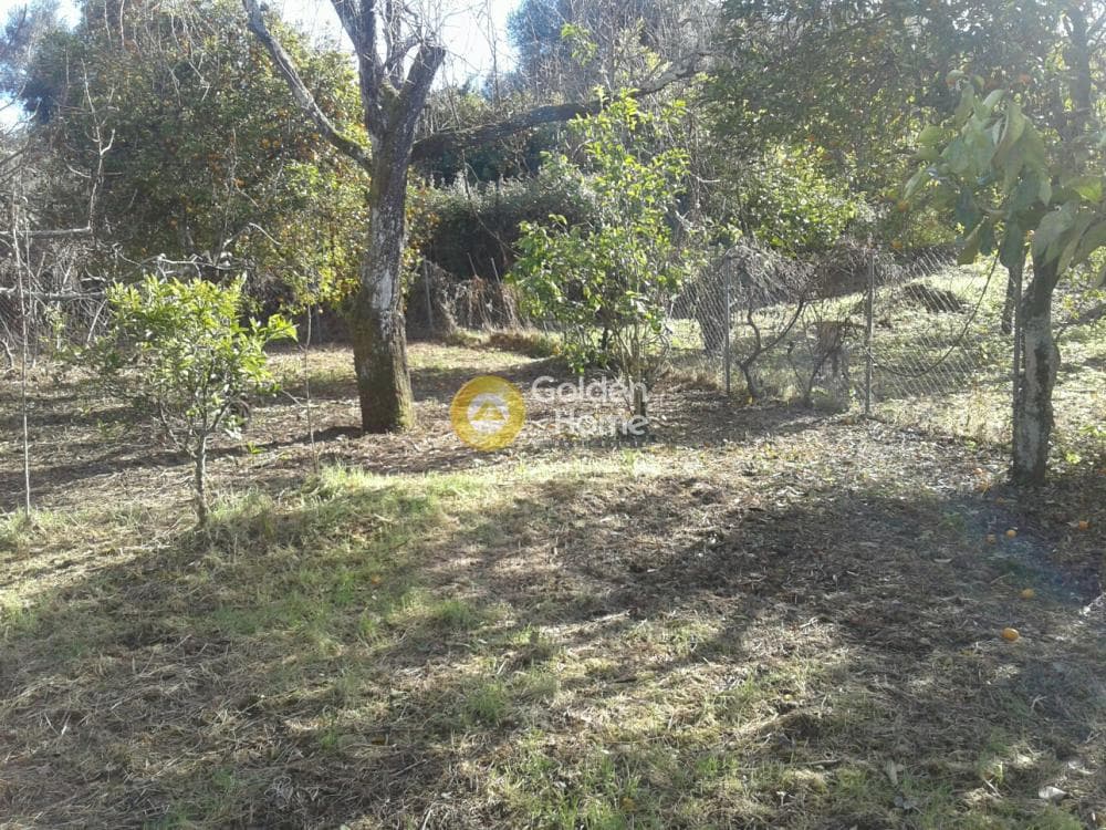 Parcel in Achilleio, Corfu — Photo 6 of 8