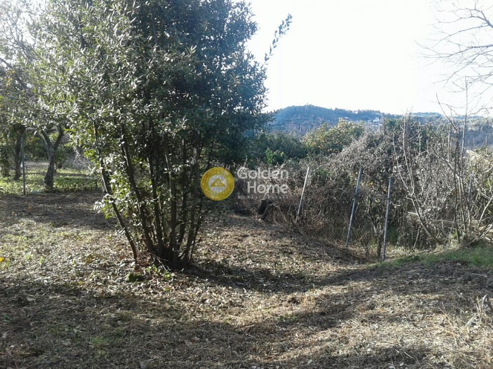 Parcel in Achilleio, Corfu — Photo 1 of 8