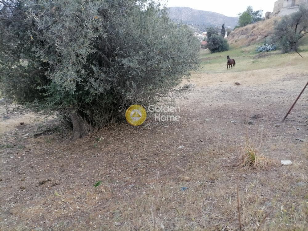 Building Plot in Kouses, Moires — Photo 13 of 22