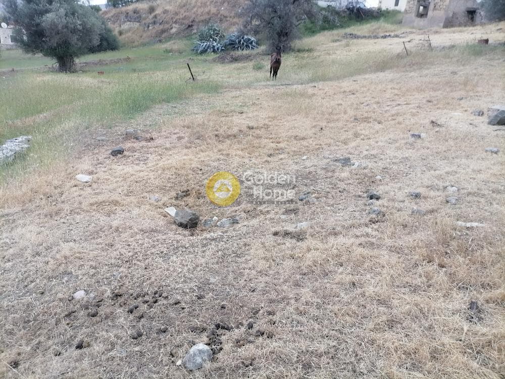 Building Plot in Kouses, Moires — Photo 18 of 22