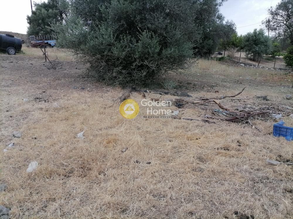 Building Plot in Kouses, Moires — Photo 19 of 22
