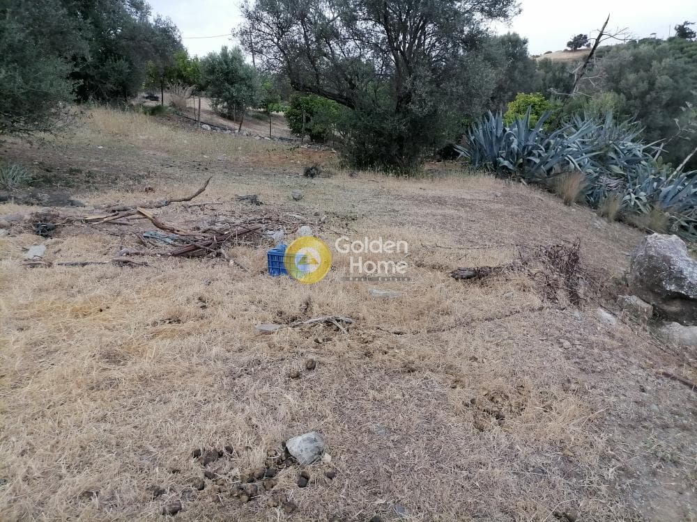 Building Plot in Kouses, Moires — Photo 20 of 22