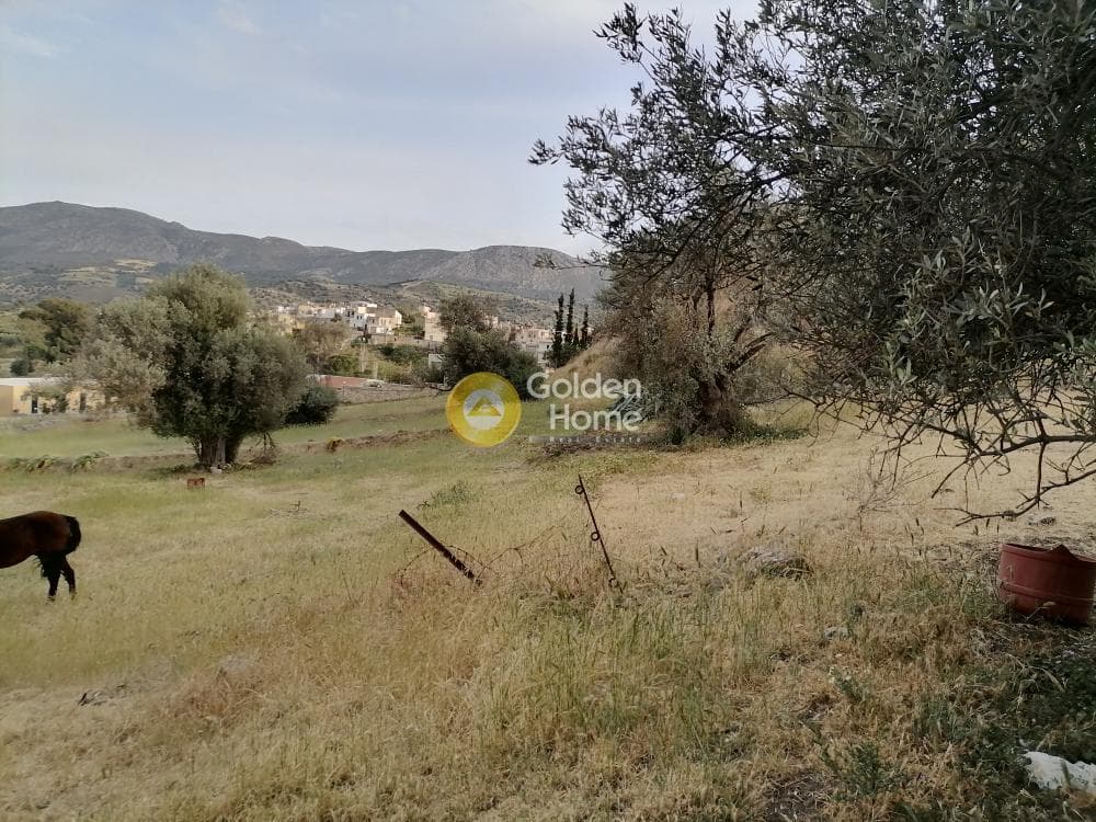 Building Plot in Kouses, Moires — Photo 6 of 22