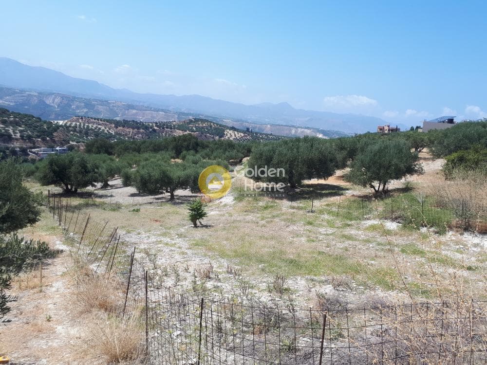 Οικόπεδο στην Βασιλείες, Αρχάνες — Φωτογραφία 3 από 8