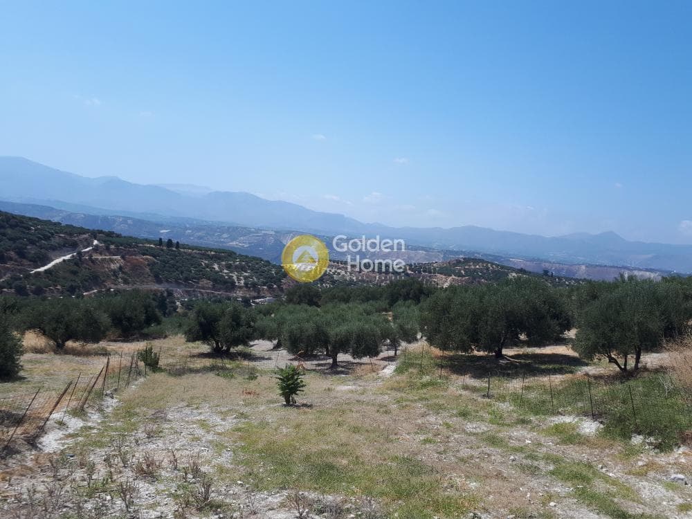 Οικόπεδο στην Βασιλείες, Αρχάνες — Φωτογραφία 6 από 8