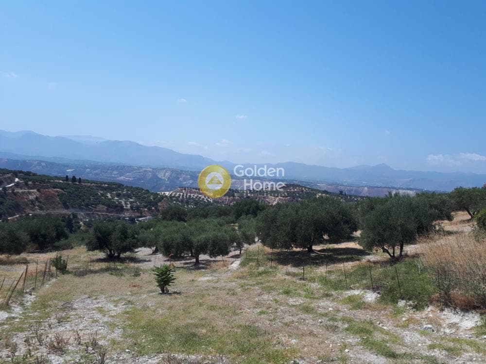 Οικόπεδο στην Βασιλείες, Αρχάνες — Φωτογραφία 7 από 8