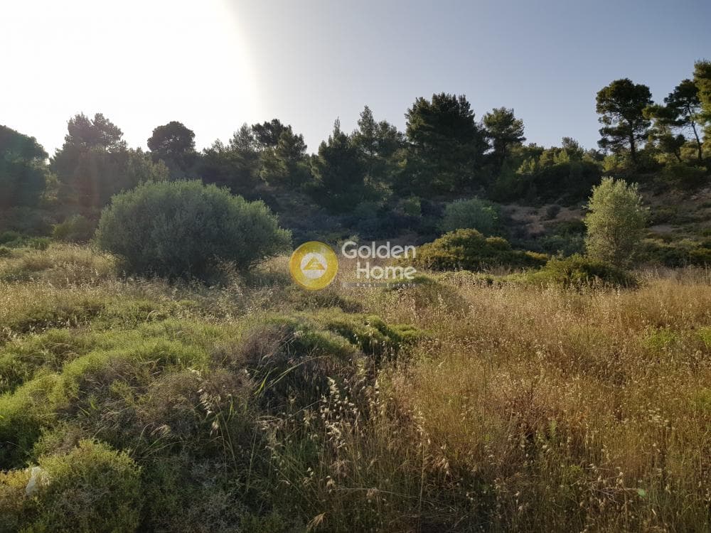 Αγροτεμάχιο στην Διόνυσος, Κερατέα — Φωτογραφία 1 από 3