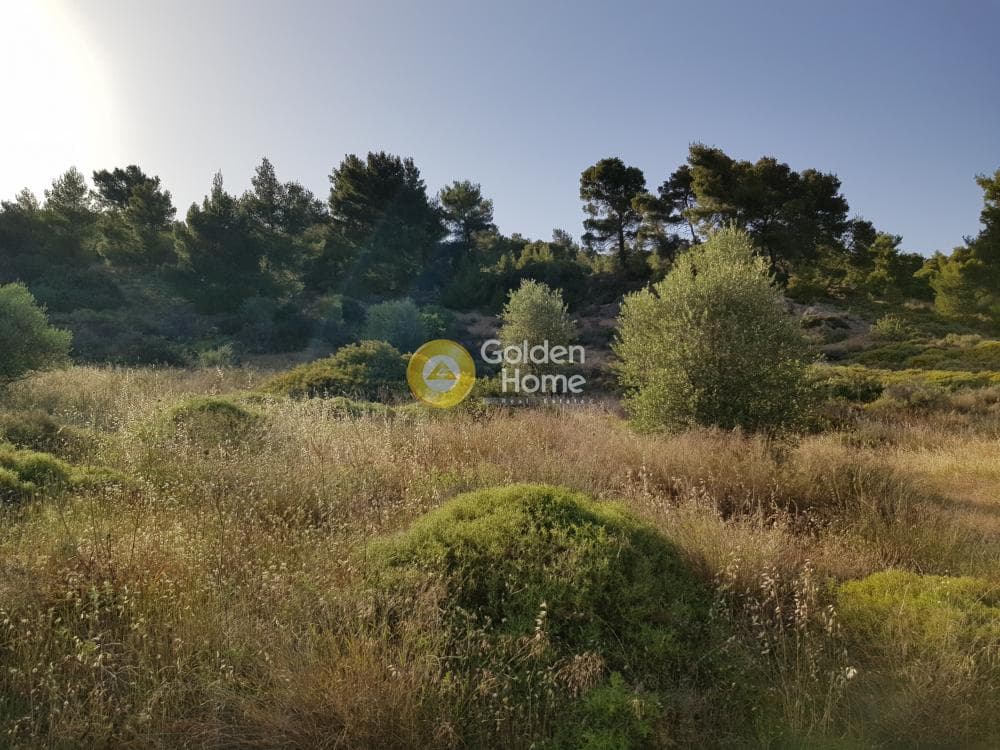 Αγροτεμάχιο στην Διόνυσος, Κερατέα — Φωτογραφία 2 από 3