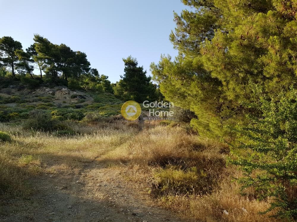 Parcel in Rountzeri Lemprou, Keratea